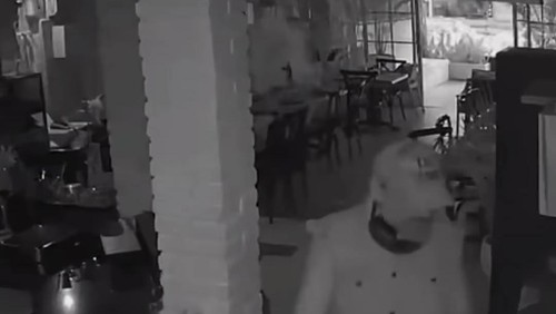 Tangkapan layar seorang bule merusak restoran menggunakan kapak di Seminyak.