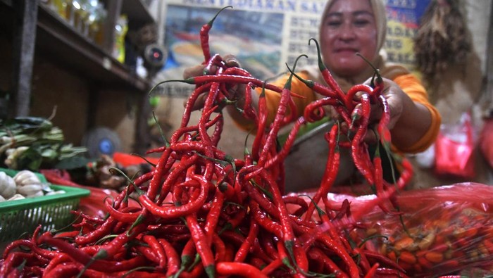 Pedagang menunjukkan cabai merah keriting yang harganya mengalami kenaikan mencapai Rp120 ribu per kilogram di pasar tradisional Gunung Batu, Kota Bogor, Jawa Barat, Senin (26/2/2024). Badan Pusat Statistik (BPS) menyebutkan jumlah daerah yang mengalami kenaikan harga cabai merah meningkat di pekan ketiga Februari dari sebelumnya sebanyak 203 menjadi 230 kabupaten dan kota di Indonesia. ANTARA FOTO/Arif Firmansyah/nz