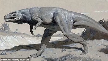 Kemajuan dalam catatan fosil kini menunjukkan bahwa Megalosaurus (pada foto) sebenarnya berjalan dengan dua kaki. Foto: via Daily Mail