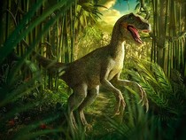 20 Nama Dinosaurus Paling Populer, Ada T-Rex hingga Nenek Moyang Buaya
