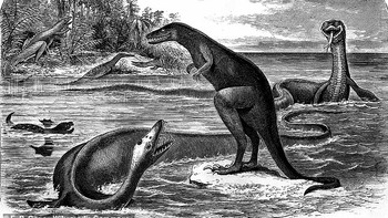 Karena terbatasnya catatan fosil, para seniman paleo atau paleo artists sering melakukan kesalahan. Dalam ilustrasi ini, kepala Elasmosaurus (kiri bawah) dipasang di tempat ekornya seharusnya berada. Foto: via Daily Mail