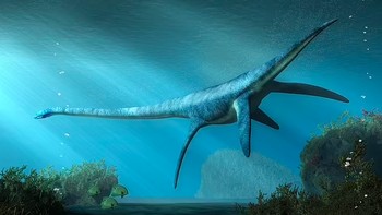 Kini, para ahli mengetahui bahwa kepala Elasmosaurus mungkin berada di ujung lain tubuhnya. Para ahli tidak yakin mengapa leher mereka begitu panjang, namun mereka berpendapat bahwa hal itu mungkin membantu mereka menangkap ikan. Foto: via Daily Mail