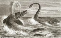 dinosaurus