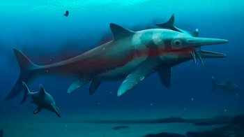 Ahli paleontologi modern percaya bahwa tubuh Ichthyosaurus lebih mirip lumba-lumba daripada buaya, seperti yang diperkirakan para peneliti awal. Foto: via Daily Mail
