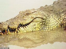 Penampakan Dinosaurus Menurut Ilmuwan Zaman Dulu, Aneh Banget