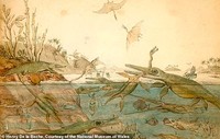 dinosaurus