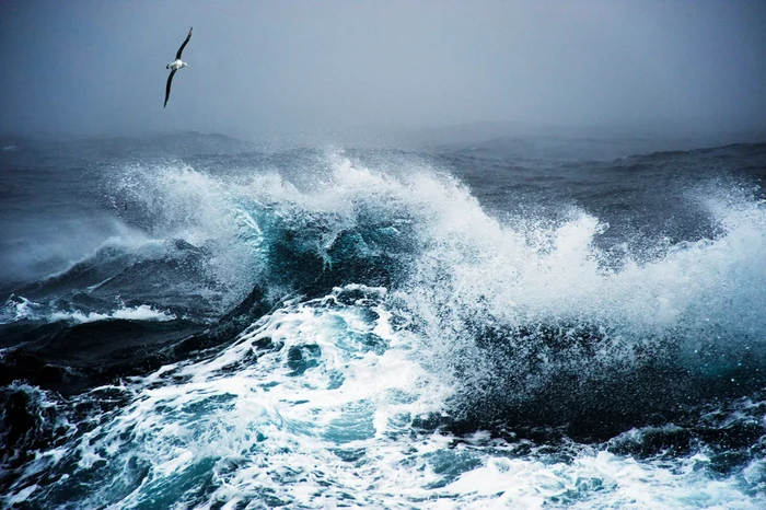 Drake Passage