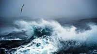 Dulunya merupakan tempat tinggal para penjelajah dan anjing laut. Kini, Drake Passage menjadi lokasi yang menantang yang menakutkan bagi para pelancong yang terus bertambah ke Antartika.