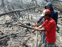 Bakar Lahan untuk Kebun Sawit, Pria Asal Rokan Hilir Jadi Tersangka