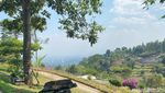 Cantik! Kafe di Dago Ini Hadirkan Nuansa ala Dalat yang Penuh Bunga