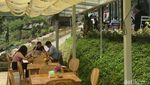 Cantik! Kafe di Dago Ini Hadirkan Nuansa ala Dalat yang Penuh Bunga