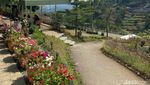 Cantik! Kafe di Dago Ini Hadirkan Nuansa ala Dalat yang Penuh Bunga