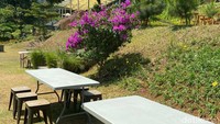 Ini juga area  outdoor di kafe tersebut. Di sekelilingnya banyak dihiasi bunga dan tanaman hias. Foto: detikFood/Yenny Mustika Sari