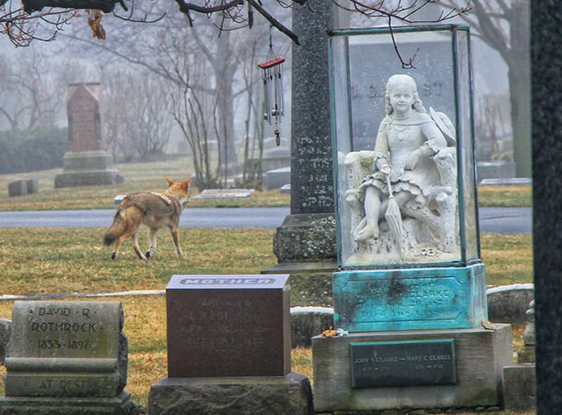 Kumpulan Kuburan Teraneh di Dunia