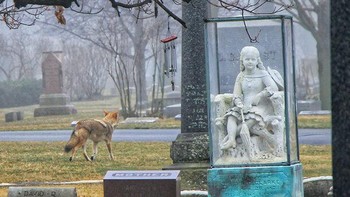 Monumen Inez Clarke adalah tugu peringatan yang tidak biasa dan menakutkan dengan asal-usul yang sangat misterius. Patung seorang gadis muda di atas alas, memegang payungnya, biasanya tidak akan tampak menyeramkan. Namun, gadis ini terbungkus kaca dan dikabarkan berhantu. Konon, ia hidup kembali setiap kali ada badai dan berkeliaran di pemakaman hingga badai reda. Penjaga keamanan dan pengemudi bus wisata semuanya mengklaim bahwa patung tersebut menghilang di malam hari sebelum kembali ke tempat yang seharusnya di pagi hari.  (Foto: list25)
