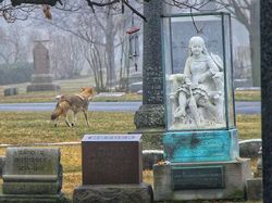 Hii! Kumpulan Kisah Kuburan Teraneh dan Unik di Dunia