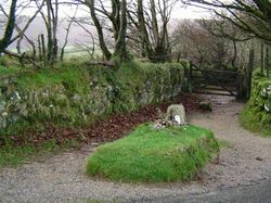 Hii! Kumpulan Kisah Kuburan Teraneh dan Unik di Dunia