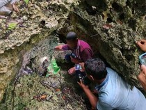 Polisi Duga Bocah Perempuan Tewas Penuh Luka di Gua Buton Selatan Dianiaya