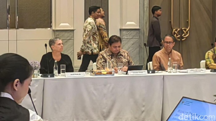 Menko Perekonomian Airlangga Hartarto dalam acara OECD