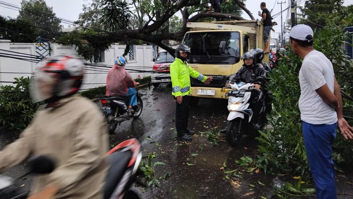 Pohon tumbang di Bandung