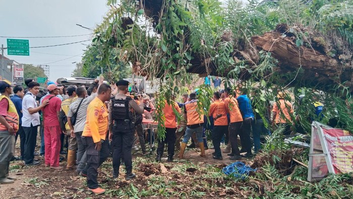 Pohon tumbang di Halaman Gedung Perpustakaan, Subang, Rabu (28/2/2024).