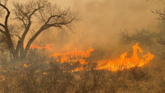 Cars drive as smoke and fire rise from wildfires in a location given as Texas, U.S., in this handout picture released on February 27, 2024. Greenville Fire-Rescue/Handout via REUTERS  THIS IMAGE HAS BEEN SUPPLIED BY A THIRD PARTY. MANDATORY CREDIT. NO RESALES. NO ARCHIVES.