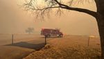 Horor Kebakaran Hutan di Texas yang Semakin Meluas
