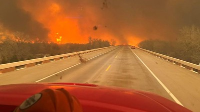 Horor Kebakaran Hutan di Texas yang Semakin Meluas