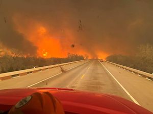 Horor Kebakaran Hutan di Texas yang Semakin Meluas
