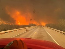 Horor Kebakaran Hutan di Texas yang Semakin Meluas