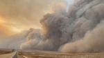 Horor Kebakaran Hutan di Texas yang Semakin Meluas