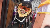 Sejumlah anak ngelawang, menarikan barong bangkung ke rumah warga Banjar Muncan, Desa Kapal, Kecamatan Mengwi, Badung, saat Galungan. (Agus Eka/detikBali)