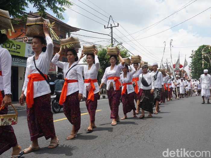 Umat Hindu di Desa Adat Lukluk, Kecamatan Mengwi, Kabupaten Badung, Bali melaksanakan tradisi mepeed saat Galungan, Rabu sore (28/2/2024). Para wanita mengusung keben atau wadah anyaman bambu berisi sesaji aneka buah dan jajanan untuk dihaturkan di pura. (Agus Eka/detikBali)