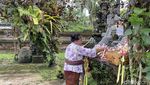 Syahdu, Suasana Perayaan Galungan di Tabanan, Bali