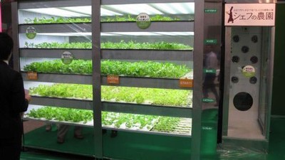 10 Vending Machine Makanan Tak Biasa yang Pernah Ada di Dunia