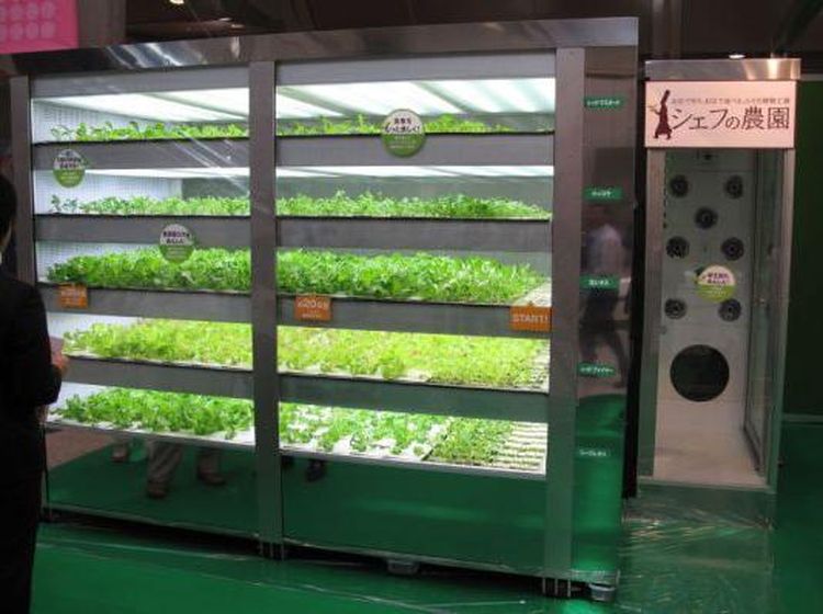 10 Vending Machine Makanan Tak Biasa yang Pernah Ada di Dunia