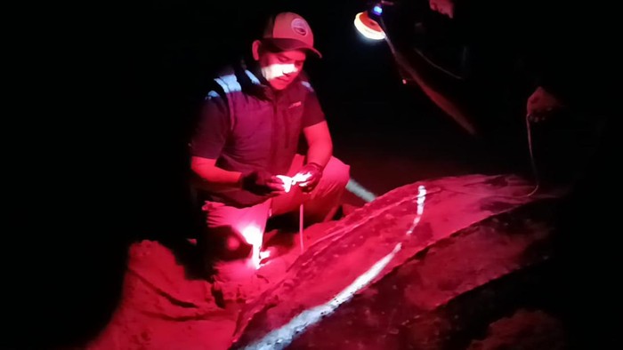 Aipda Wardika bersama warga menjaga telur penyu di Simeulue, Aceh