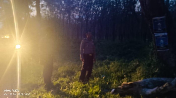 Batang pohon yang menimpa dua pelajar di Simalungun