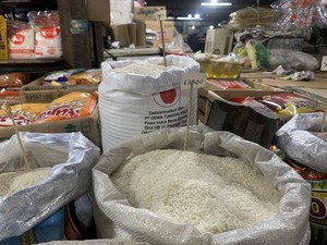 Harga Beras di Sumut Masih Mahal, Warga Beralih ke Beras Medium