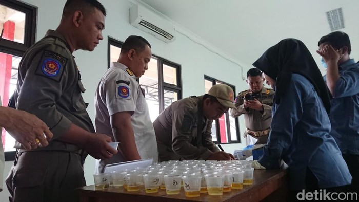 BNNK Gresik tes urine anggota Satpol PP setempat