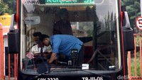 Seluruh armada bus listrik Trans Semanggi yang dikelola oleh DAMRI.