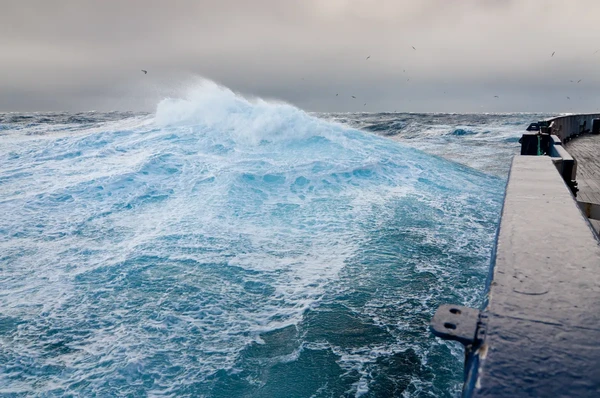 Mengenal Drake Passage, Jalur Laut 1000 Km Paling Mengerikan di Dunia