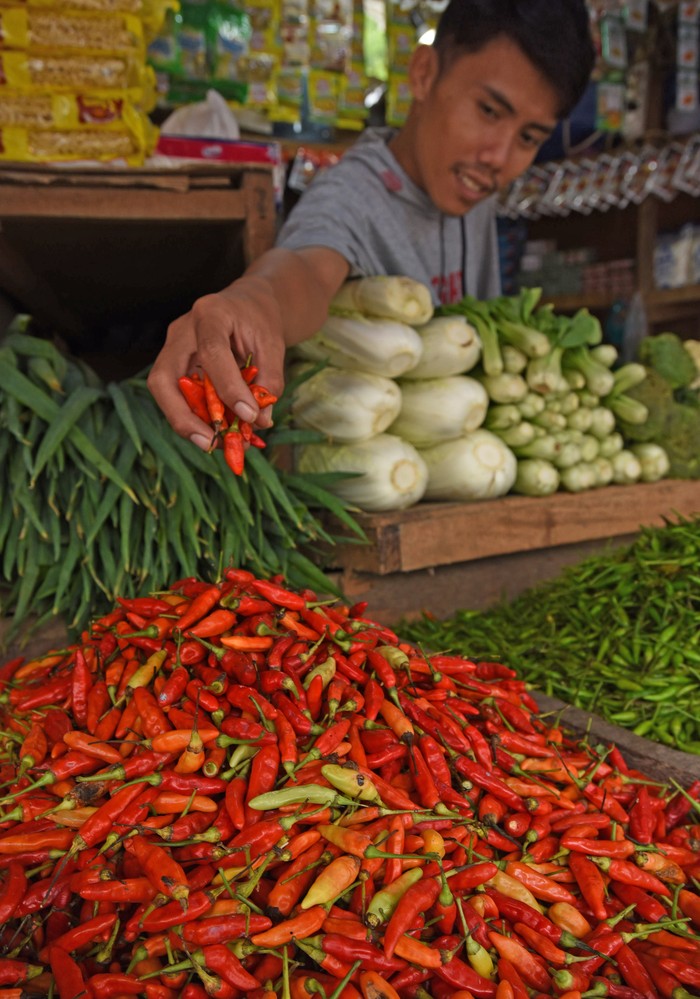 Pedagang sayur mengambil cabai rawit merah di Pasar Induk Rau Kota Serang, Banten, Kamis (29/2/2024). Menurut pedagang, harga cabai rawit merah naik dari Rp50 ribu menjadi Rp85 ribu perkilogram, harga cabai keriting naik dari Rp48 ribu menjadi Rp82 ribu perkilogram, dan cabai merah naik dari Rp55 ribu menjadi Rp84 ribu perkilogram akibat permintaan naik sedang pasokan berkurang. ANTARA FOTO/Asep Fathulrahman/Spt.