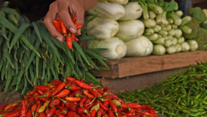 Pedagang sayur mengambil cabai rawit merah di Pasar Induk Rau Kota Serang, Banten, Kamis (29/2/2024). Menurut pedagang, harga cabai rawit merah naik dari Rp50 ribu menjadi Rp85 ribu perkilogram, harga cabai keriting naik dari Rp48 ribu menjadi Rp82 ribu perkilogram, dan cabai merah naik dari Rp55 ribu menjadi Rp84 ribu perkilogram akibat permintaan naik sedang pasokan berkurang. ANTARA FOTO/Asep Fathulrahman/Spt.