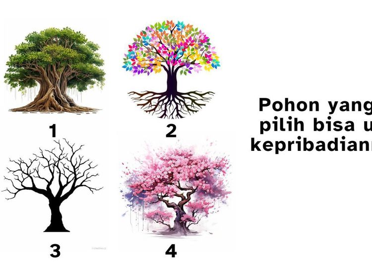 Jangan Syok, Pohon yang Kamu Pilih Bisa Mengungkap Kepribadian Tersembunyi