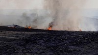 Mereka mengatakan cepatnya penyebaran kebakaran hutan disebabkan oleh angin kencang dengan kecepatan antara 64 dan 96 kilometer per jam dan dipicu oleh kondisi kering dan hangat di luar musimnya.  