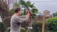 Mark melakukan tes pada katana buatannya. Ia pun melakukan kuda-kuda seperti seorang samurai saat hendak membelah kayu. (Instagram/Mark Zuckerberg)
