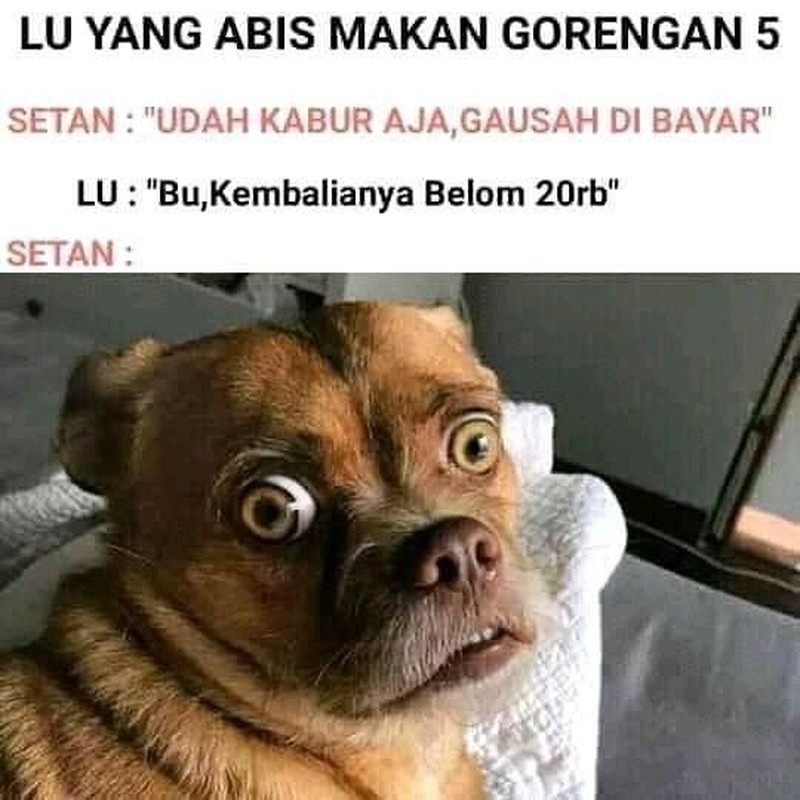 Kelakuan manusia kadang suka di luar nalar. Setan pun bisa jadi dibuat bingung karenanya. Contohnya, lihat meme berikut ini.