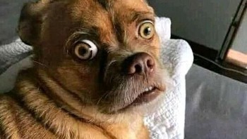 Benar-benar deh. Kelakuan ini jangan ditiru ya, detikers. Foto: Instagram/rakyat_plus_62