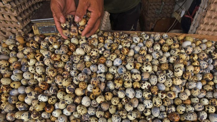 Pasokan Seret, Harga Telur Puyuh Tembus Rp 38 Ribu/Kg Warga membeli telur burung puyuh di Pasar Induk Rau Kota Serang, Banten, Kamis (29/2/2024). Menurut pedagang, harga telur ayam naik dari Rp29 ribu menjadi Rp32 ribu perkilogram dan harga telur puyuh naik dari Rp35 ribu menjadi Rp38 ribu perkilogram akibat permintaan naik sedang pasokan menurun. ANTARA FOTO/Asep Fathulrahman/Spt.